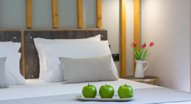 Villa Dimitris - The House Experience