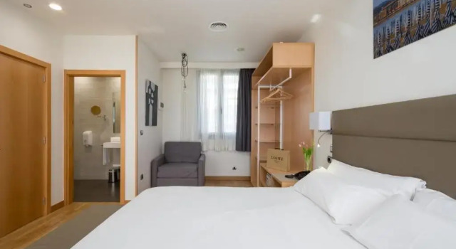 Двухместный номер Deluxe Hotel Palacio de Aiete