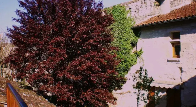 Chambres d'Hôtes La Peregrine, Buchen Sie Gasthaus La Sauvetat-du-Dropt 