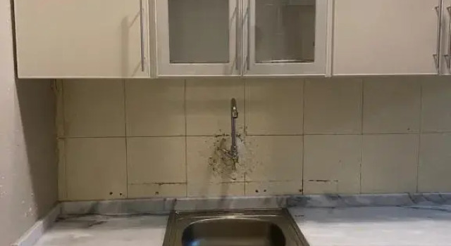 قصر المنار