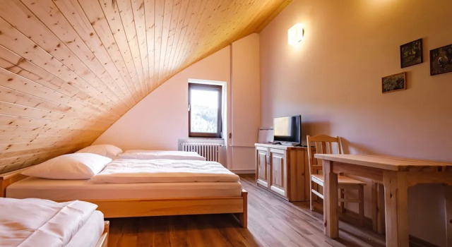Номер Comfort SPA Pod javory