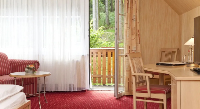 Двухместный номер Standard с балконом и с красивым видом из окна Wald Hotel Willingen