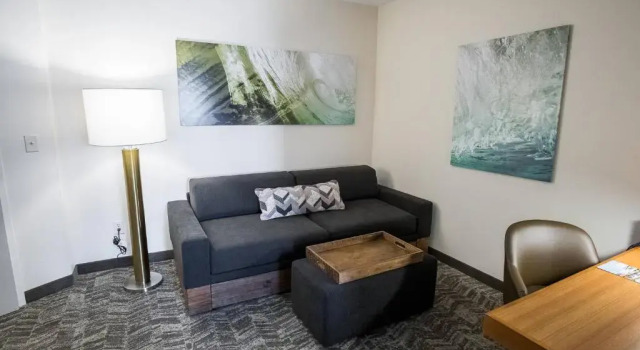 Студия SpringHill Suites by Marriott Winston-Salem Hanes Mall