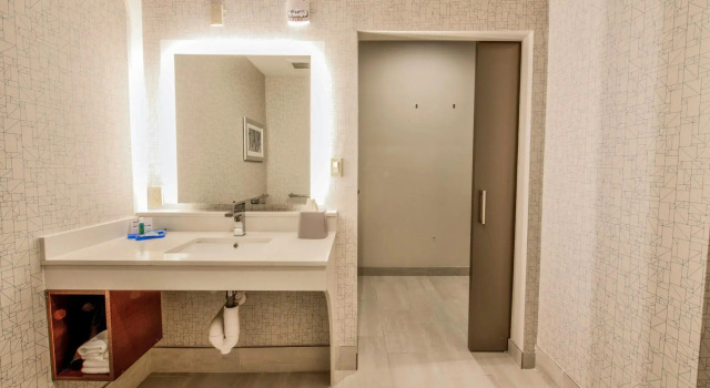Двухместный люкс Holiday Inn Express & Suites Dallas NW - Farmers Branch by IHG