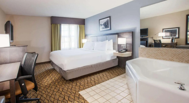 Двухместный номер Deluxe Wingate by Wyndham Roseville/Detroit