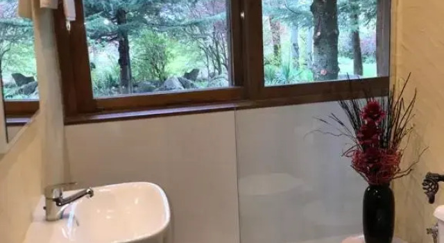 Полулюкс с видом на сад Hotel Vallibierna