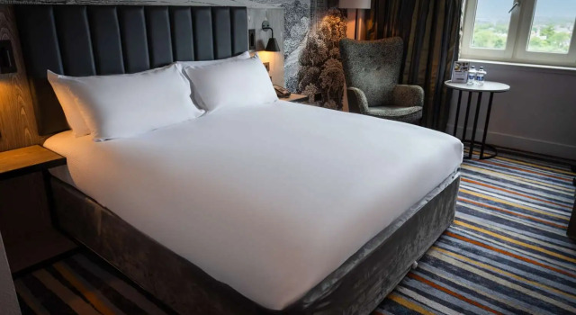 Номер Standard DoubleTree by Hilton Bristol South - Cadbury House
