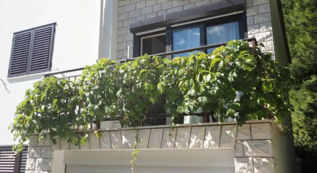 Студия Guesthouse Apartment Božica