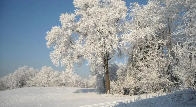 Бунгало Albergotto Natalina