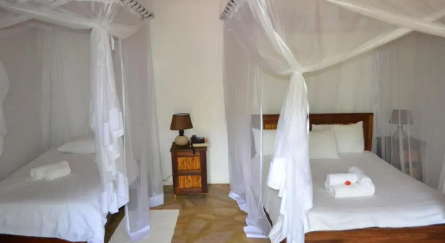 Номер Standard Tambuti lodge