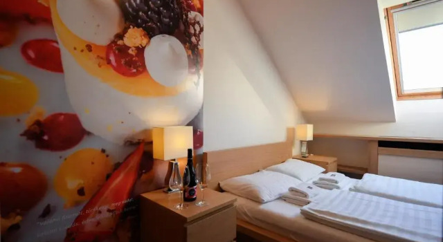 Двухместный номер Standard Мансарда Imola Udvarház Dessert Hotel
