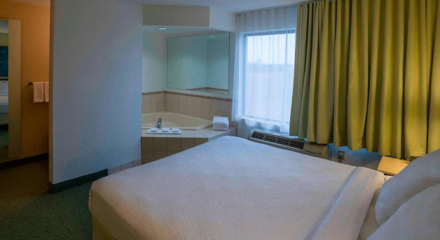 Двухместная студия SpringHill Suites by Marriott Chicago Bolingbrook