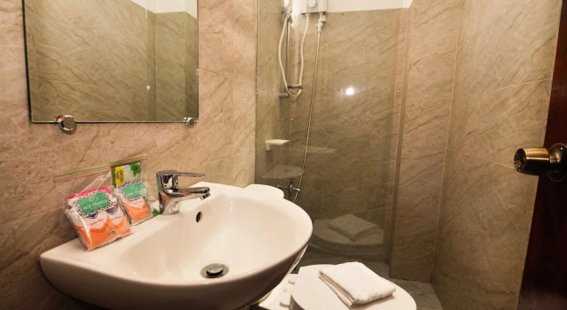 Двухместный номер Deluxe Ace Francis Hotel