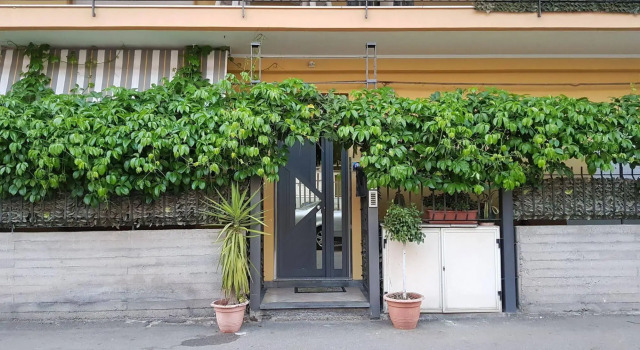Tiziana