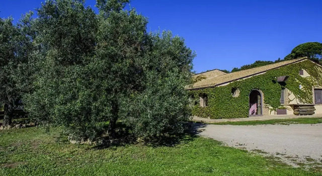 Salemi Agriturismo, Book Hotel Hotels in Sicily with a Pool, Swimming Pool