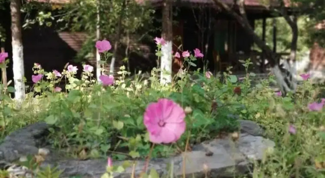 Коттедж Отель Kish Adasi — Kish Island