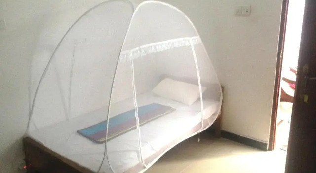 Номер Standard Tiny Royal Palace