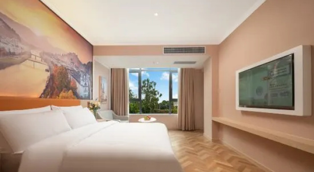 Люкс Deluxe Vienna Hotel (Pu'er Jingdong County Branch)