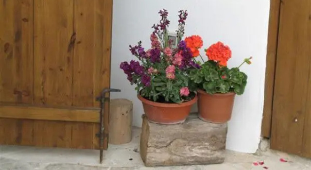 Arkela Agrotouristic Houses