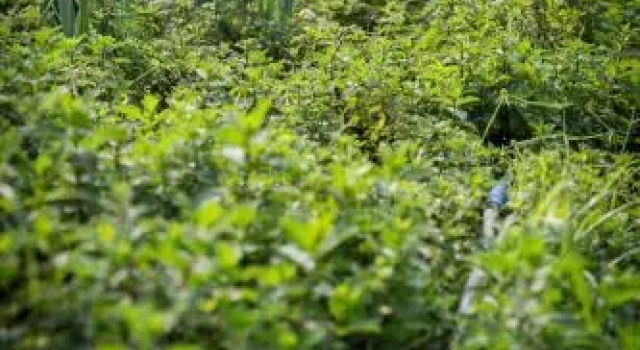 Eco Granja Don Lolo, Réserver Hôtel Quesada Alajuela