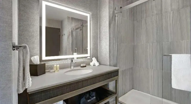 Номер Standard Embassy Suites By Hilton Rockford Riverfront