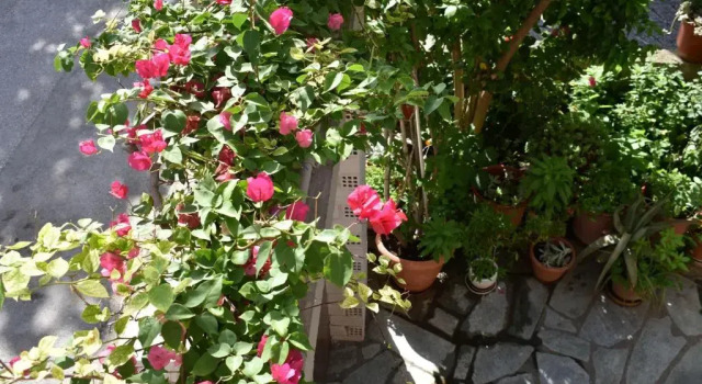 Polemarhos Guest House 8, Book Guesthouse Kalabaka Thessalia