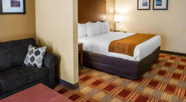 Люкс Sleep Inn Savannah Midtown