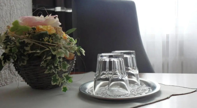 Двухместный номер Standard Hotel Linnert