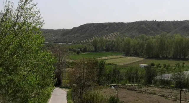 Коттедж Cueva Peralta