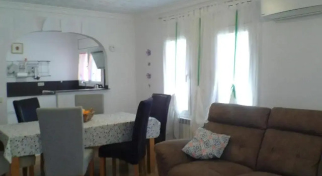 Doree 206