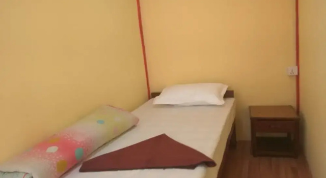 Beehive Hostel