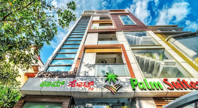 Двухместный люкс Executive с балконом и с видом на город Hotel Palm Suite