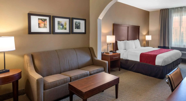 Comfort Inn & Suites Villa Rica, Book Villa Villa Rica 