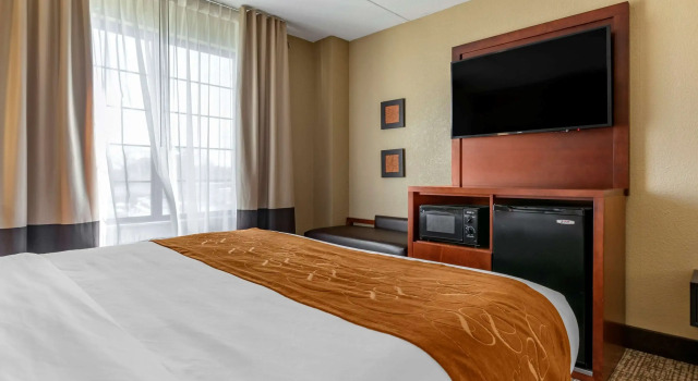 Двухместный люкс Comfort Suites Grand Rapids South