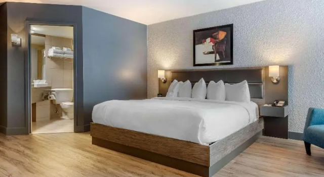 Номер Standard Hotel Quartier, an Ascend Collection Hotel