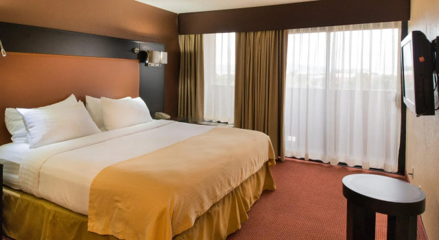 Номер Standard GreenTree Hotel Phoenix West