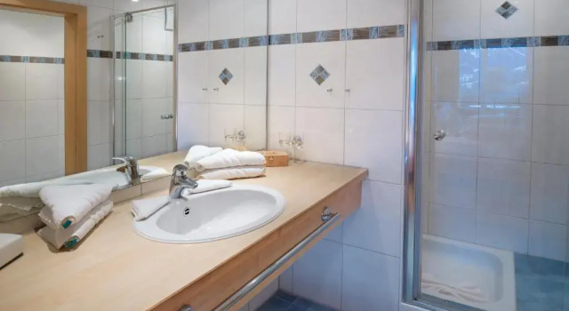 Номер Deluxe Hotel Birkenhöhe