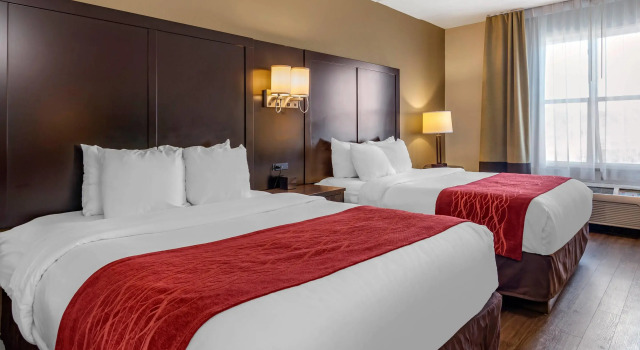 Четырёхместный номер Standard Comfort Inn & Suites near Six Flags