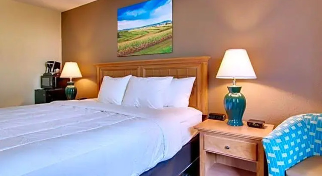 Одноместный номер Standard EverSpring Inn & Suites