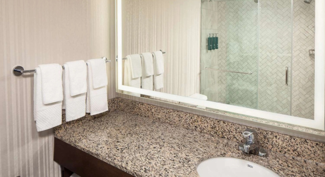 Трёхместный полулюкс DoubleTree by Hilton Silver Spring Washington DC