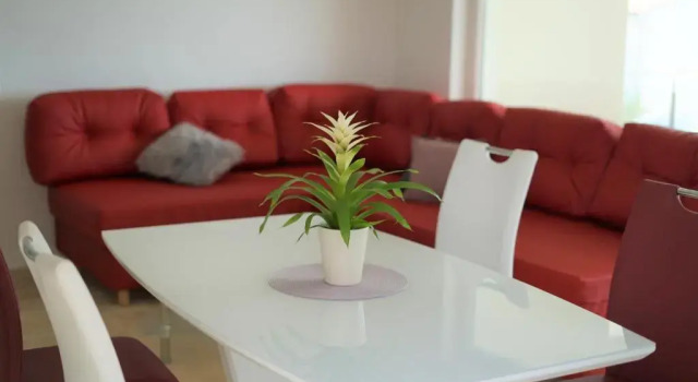 Апартаменты с видом на море Villa M - Your business & holiday apartment in Sibenik