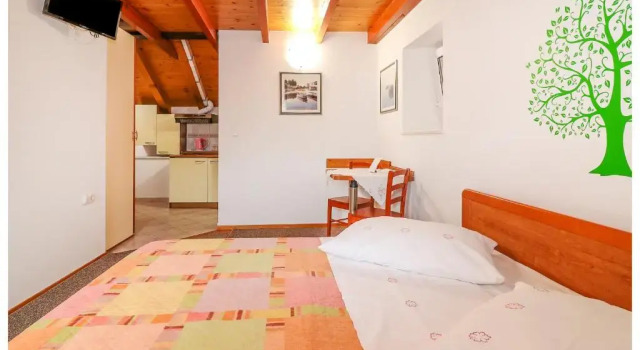 Двухместная студия Apartments Mirabella