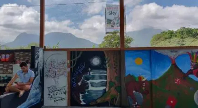 Howler Monkey Hostel DownTown, Prenota Ostello Ostelli a Fortuna, Ostello
