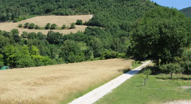 Вилла Deluxe Calbertone Family and Bike Holidays