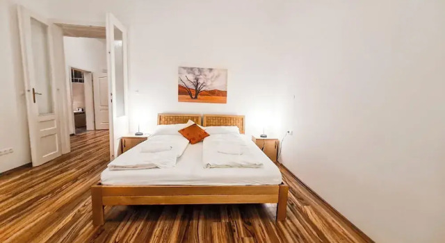 Classic 2BR Viennese Apt Near Downtown, Prenota Appartamento Vienna Austria