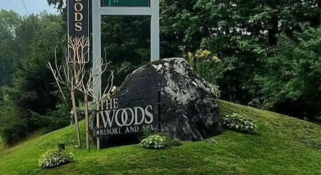 Номер Standard Woods Village 43