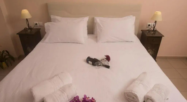 Двухместный номер Standard с балконом Filoxenia Hotel