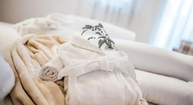Номер Superior Hotel Alpenrose