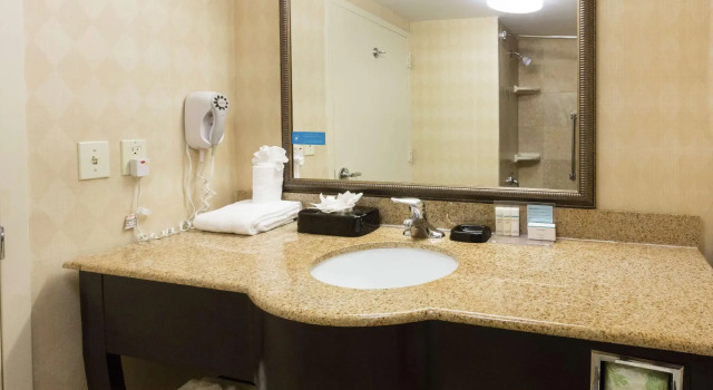 Двухместный номер Standard Hampton Inn & Suites Jacksonville-Airport