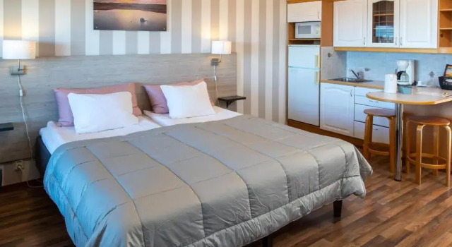 Студия Superior Hotel Lokkilinna